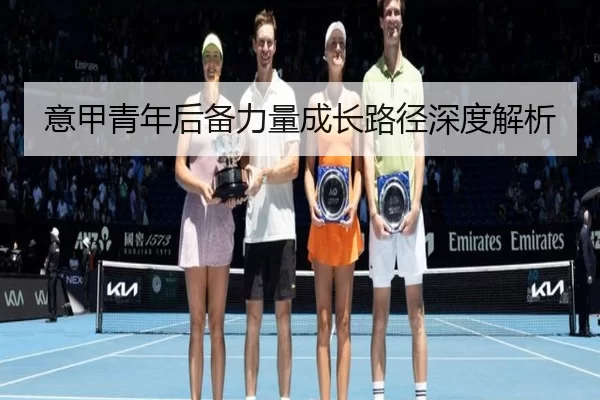 意甲青年后备力量成长路径深度解析